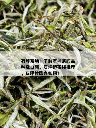 石坪茶场：了解石坪茶的品种及口感，石坪桥茶楼推荐，石坪村风光如何？