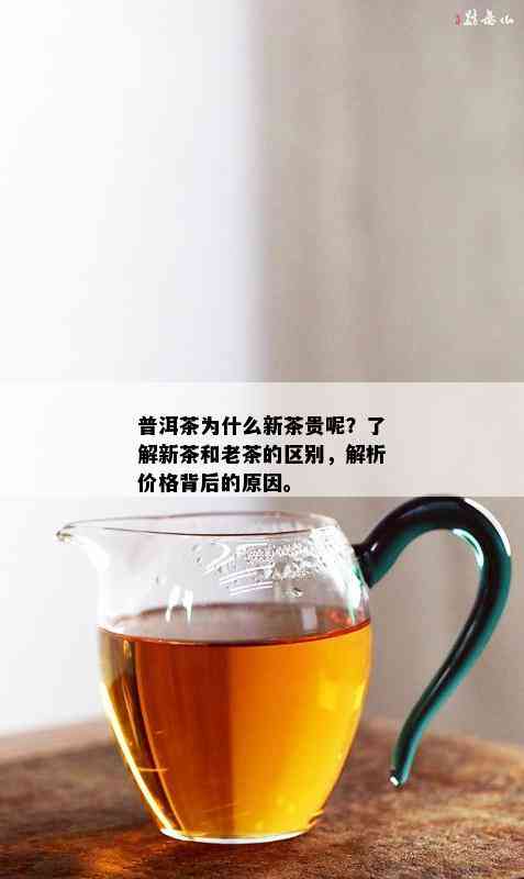 普洱茶为什么新茶贵呢？了解新茶和老茶的区别，解析价格背后的原因。