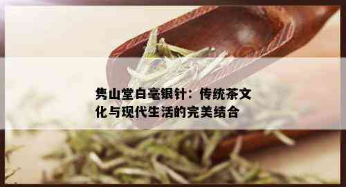 隽山堂白毫银针：传统茶文化与现代生活的完美结合