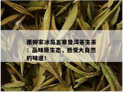 雨婷家冰岛五寨普洱茶生茶：品味原生态，感受大自然的味道！