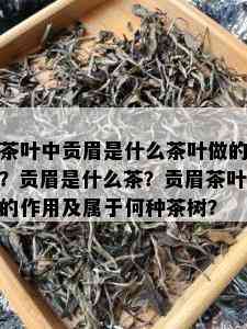 茶叶中贡眉是什么茶叶做的？贡眉是什么茶？贡眉茶叶的作用及属于何种茶树？