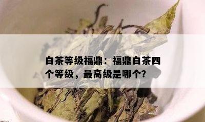 白茶等级福鼎：福鼎白茶四个等级，更高级是哪个？