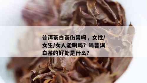 普洱茶白茶伤胃吗，女性/女生/女人能喝吗？喝普洱白茶的好处是什么？