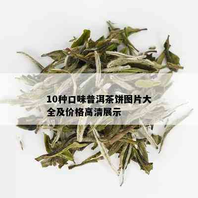 10种口味普洱茶饼图片大全及价格高清展示