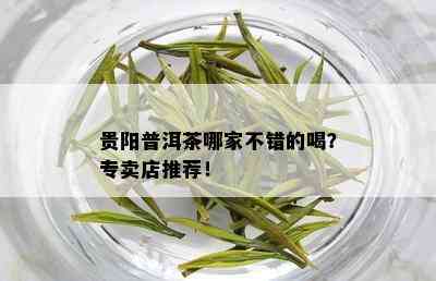 贵阳普洱茶哪家不错的喝？专卖店推荐！