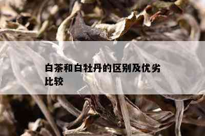 白茶和白牡丹的区别及优劣比较