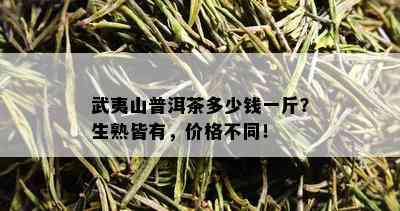 武夷山普洱茶多少钱一斤？生熟皆有，价格不同！