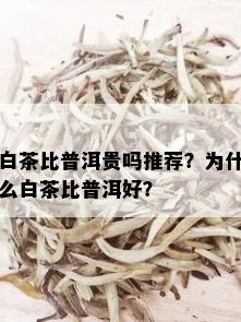 白茶比普洱贵吗推荐？为什么白茶比普洱好？