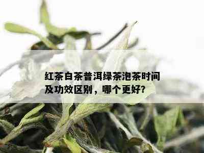 红茶白茶普洱绿茶泡茶时间及功效区别，哪个更好？