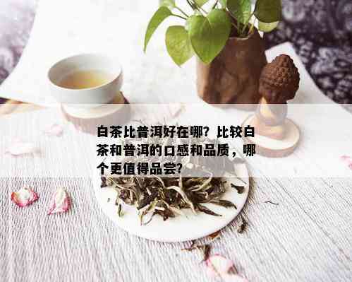 白茶比普洱好在哪？比较白茶和普洱的口感和品质，哪个更值得品尝？