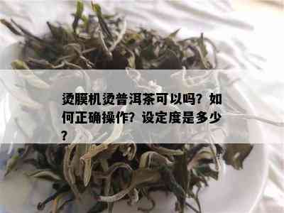 烫膜机烫普洱茶可以吗？如何正确操作？设定度是多少？