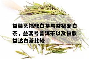 益馨茗福鼎白茶与益福鼎白茶，益茗号普洱茶以及福鼎益达白茶比较