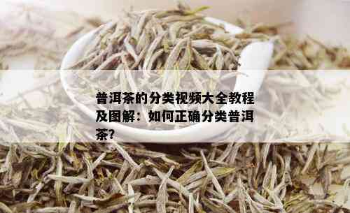 普洱茶的分类视频大全教程及图解：如何正确分类普洱茶？