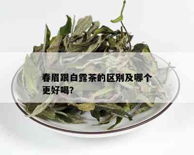 春眉跟白露茶的区别及哪个更好喝？