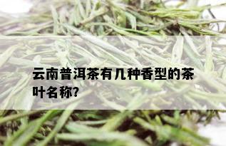 云南普洱茶有几种香型的茶叶名称？