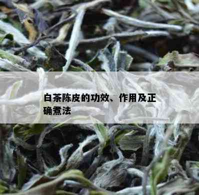 白茶陈皮的功效、作用及正确煮法