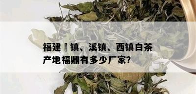 福建磻镇、溪镇、西镇白茶产地福鼎有多少厂家？