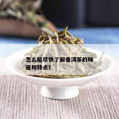 怎么能尽快了解普洱茶的味道和特点？