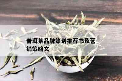 普洱茶品牌策划推荐书及营销策略文