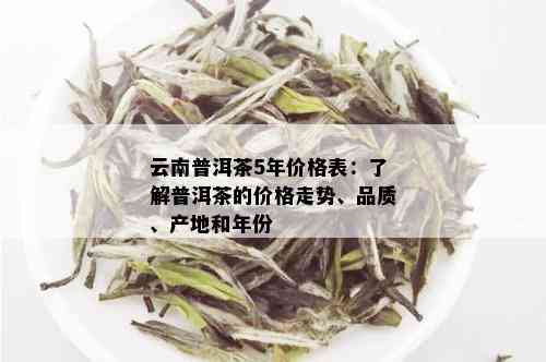 云南普洱茶5年价格表：了解普洱茶的价格走势、品质、产地和年份