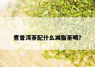 煮普洱茶配什么减脂茶喝？