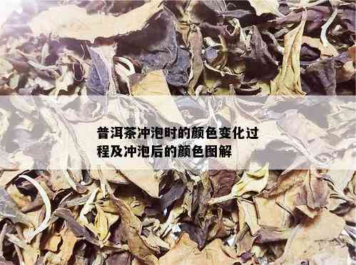 普洱茶冲泡时的颜色变化过程及冲泡后的颜色图解