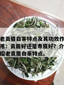 老贡眉白茶特点及其功效作用：贡眉好还是寿眉好？介绍老贡眉白茶特点。