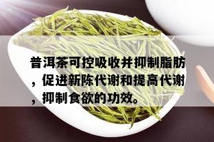 普洱茶可控吸收并抑制脂肪，促进新陈代谢和提高代谢，抑制食欲的功效。