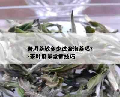 普洱茶放多少适合泡茶喝？-茶叶用量掌握技巧