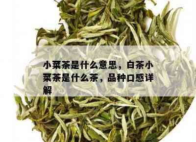 小菜茶是什么意思，白茶小菜茶是什么茶，品种口感详解