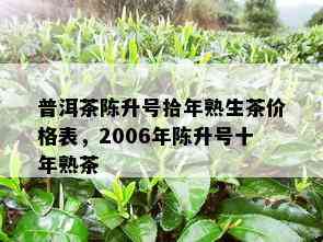 普洱茶陈升号拾年熟生茶价格表，2006年陈升号十年熟茶