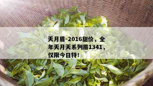 天月眉-2016甜价，全年天月天系列眉1341，仅限今日特！