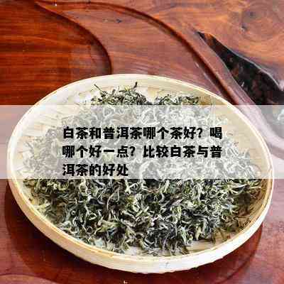 白茶和普洱茶哪个茶好？喝哪个好一点？比较白茶与普洱茶的好处