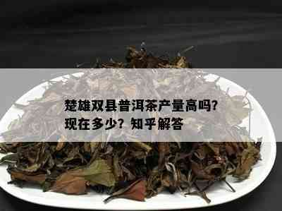 楚雄双县普洱茶产量高吗？现在多少？知乎解答