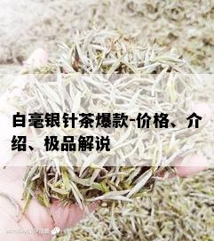 白毫银针茶爆款-价格、介绍、极品解说