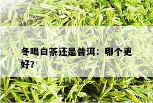 冬喝白茶还是普洱：哪个更好？