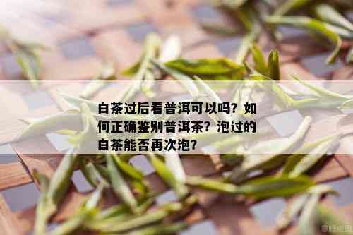 白茶过后看普洱可以吗？如何正确鉴别普洱茶？泡过的白茶能否再次泡？