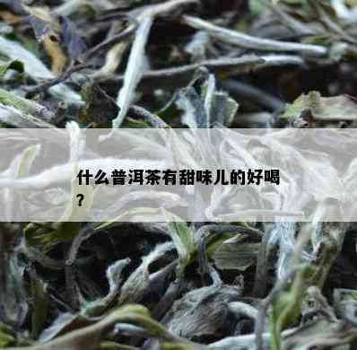 什么普洱茶有甜味儿的好喝？