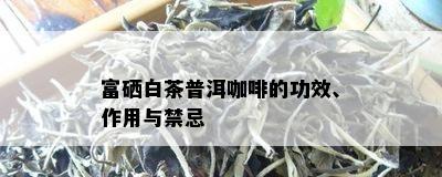 富硒白茶普洱咖啡的功效、作用与禁忌