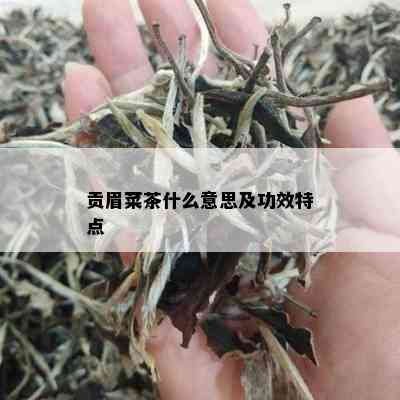 贡眉菜茶什么意思及功效特点