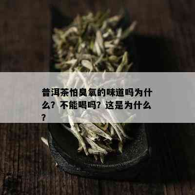 普洱茶怕臭氧的味道吗为什么？不能喝吗？这是为什么？