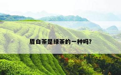 眉白茶是绿茶的一种吗？