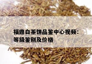 福鼎白茶饼品鉴中心视频：等级鉴别及价格