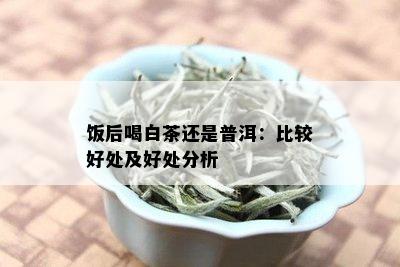 饭后喝白茶还是普洱：比较好处及好处分析