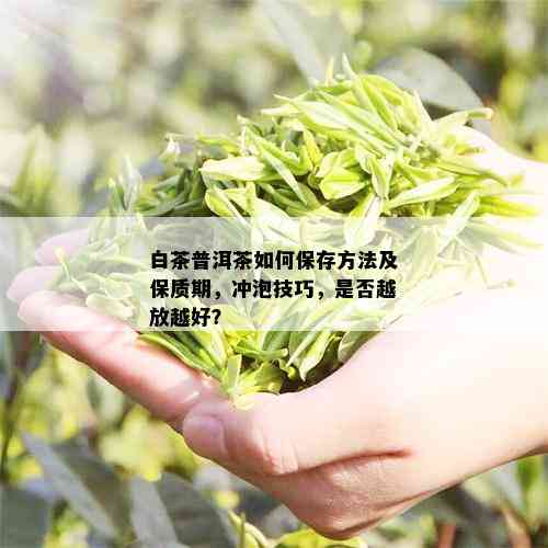 白茶普洱茶如何保存方法及保质期，冲泡技巧，是否越放越好？