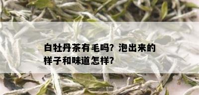 白牡丹茶有毛吗？泡出来的样子和味道怎样？