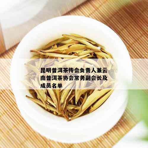 昆明普洱茶传会负责人兼云南普洱茶协会常务副会长及成员名单