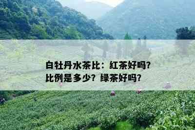 白牡丹水茶比：红茶好吗？比例是多少？绿茶好吗？