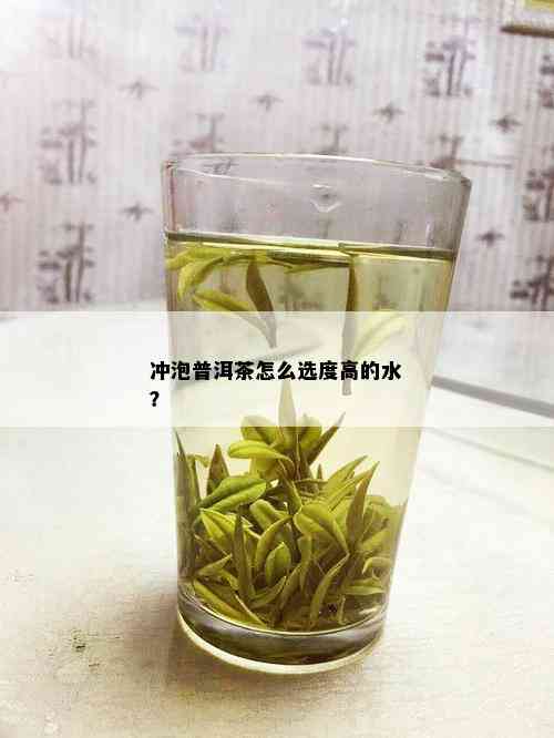 冲泡普洱茶怎么选度高的水？