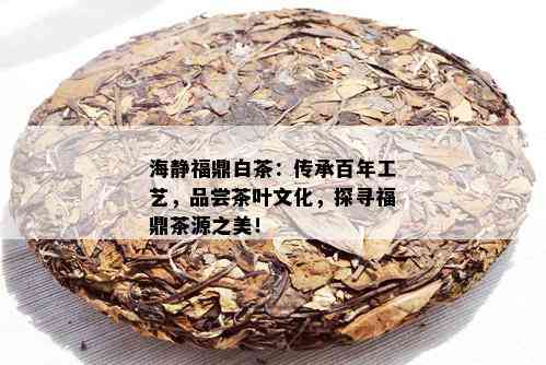 海静福鼎白茶：传承百年工艺，品尝茶叶文化，探寻福鼎茶源之美！